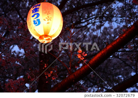 Night cherry blossom festival ... Spring arrive Night cherry blossom festival ... Spring arrive 32072679