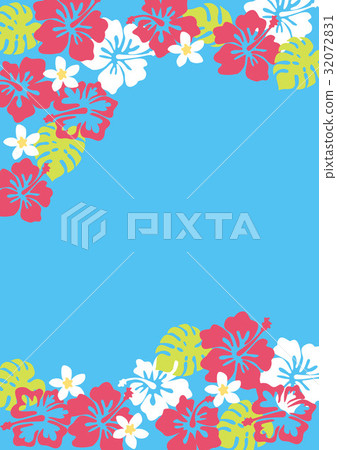 海夏天可愛的芙蓉 32072831