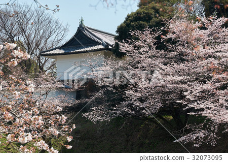 Sakura和Tan'an門，Chidorigafuchi，東京 32073095