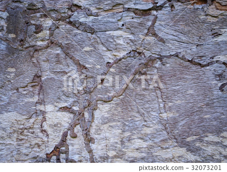Timber Timber 32073201