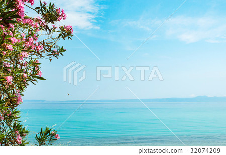 Blue sea surrounded by flowers 32074209