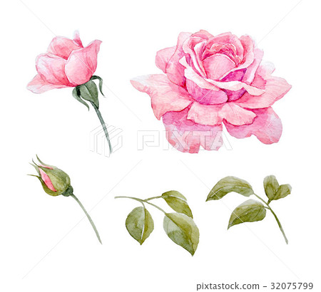 Watercolor roses set Watercolor roses set 32075799