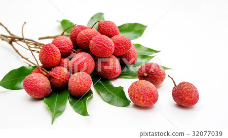 Litchi on a white background. 32077039