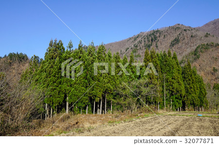 Mountain scenery in Gifu, Japan 32077871