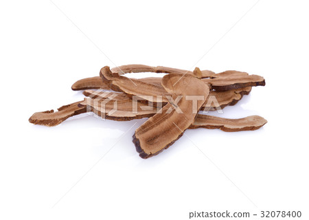 dried lingzhi mushroom on white background 32078400