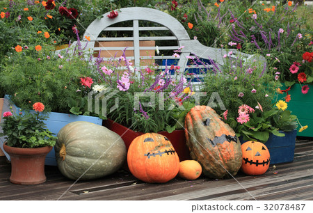 Halloween vegetables Halloween vegetables 32078487