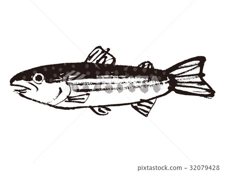 Iwanan rockfish watercolor painting ink painting 32079428