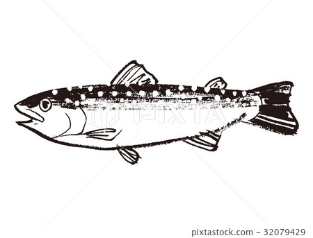 Iwanan rockfish watercolor painting ink painting Iwanan rockfish watercolor painting ink painting 32079429