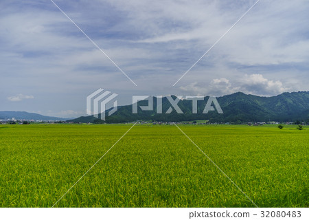 Countryside scenery of six-day town in summer 32080483