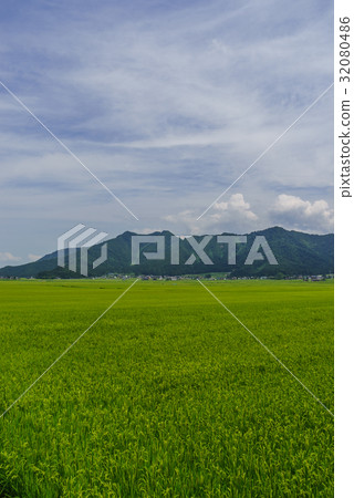 六天鎮鄉下風景在夏天 六天鎮鄉下風景在夏天 32080486