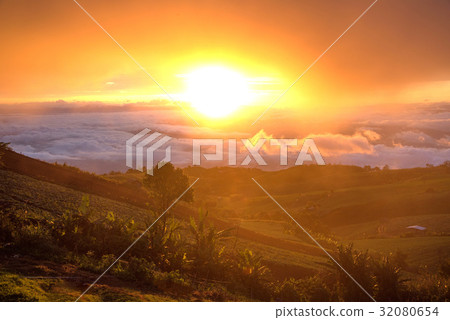 Beautiful sea of mist and sunrise, golden lighting Beautiful sea of mist and sunrise, golden lighting 32080654