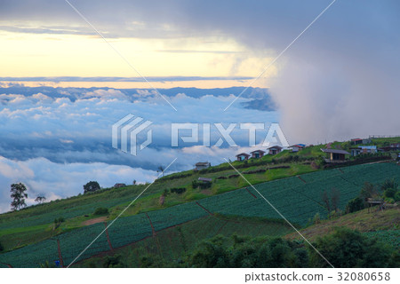 Beautiful sea of mist in morning time,Phuthuboek 32080658