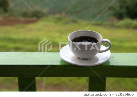 Cup of coffee on green cabbage field background Cup of coffee on green cabbage field background 32080660