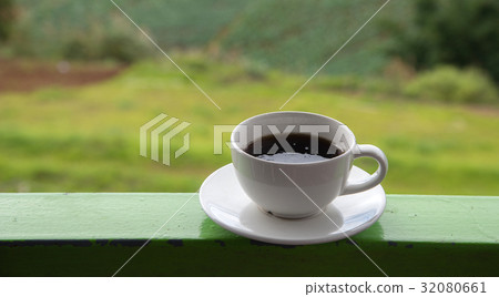Cup of coffee on green cabbage field background Cup of coffee on green cabbage field background 32080661
