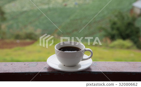 Cup of coffee on green cabbage field background Cup of coffee on green cabbage field background 32080662
