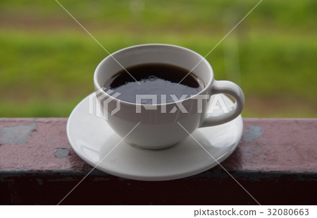 Cup of coffee on green cabbage field background Cup of coffee on green cabbage field background 32080663