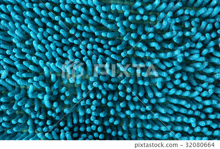 Blue carpet textures, background, wallpaper Blue carpet textures, background, wallpaper 32080664