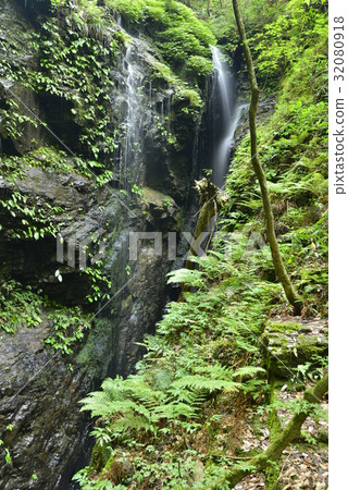 [Nara Prefecture Kawakami Village] Water stream in the valley 32080918