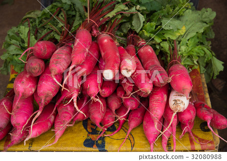 Group of raw sweet red potatoes tree 32080988