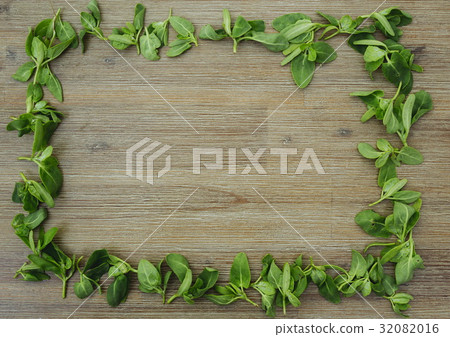 Rectangle shape frame made of orach green leaves Rectangle shape frame made of orach green leaves 32082016