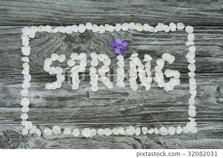Word Spring made of white cherry blossom petals Word Spring made of white cherry blossom petals 32082031