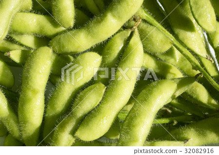Edamame 32082916