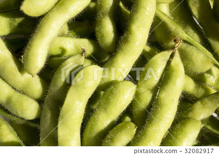Edamame 32082917