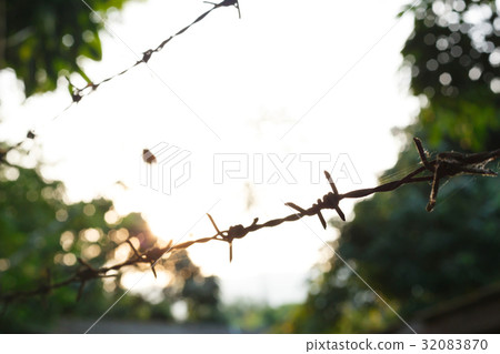 barbed wire fence with sharp spikes 32083870