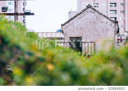 公寓,房屋,舊建築,植物,Apartment, house, old building, plant 公寓,房屋,舊建築,植物,Apartment, house, old building, plant 32084802