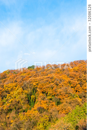 Autumn leaves scenery from both cliff mountains (Ashikaga, Tochigi prefecture) Shot taken in December 2016 Autumn leaves scenery from both cliff mountains (Ashikaga, Tochigi prefecture) Shot taken in December 2016 32086126