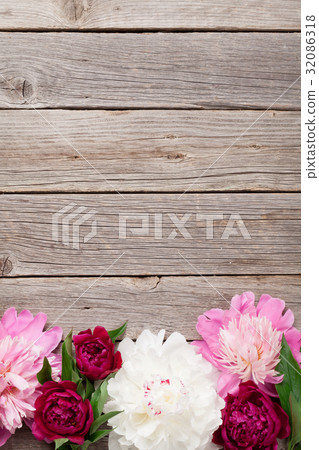Garden peony flowers on wood 32086318