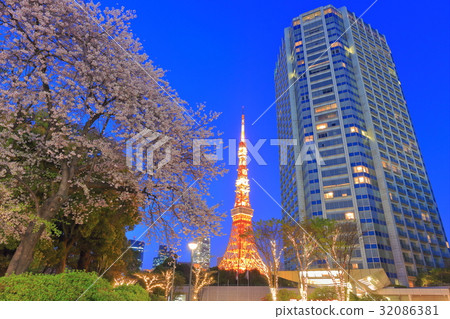 Tokyo Tower and Prince Park Tower and cherry blossoms in full bloom 32086381