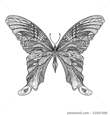 Butterfly. Floral wildlife tropical insect drawing Butterfly. Floral wildlife tropical insect drawing 32087890