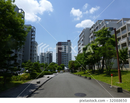 The · Luxury Mansion Exterior Ver.3 32088650