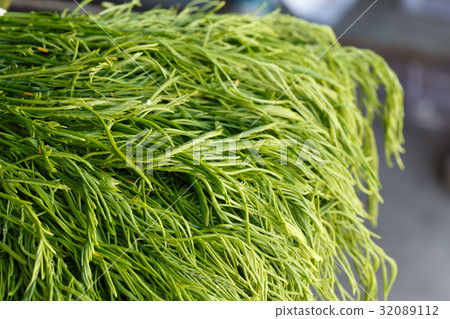 Cha vegetables Cha vegetables 32089112