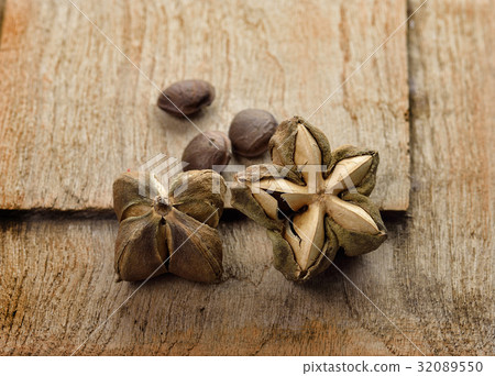 mountain peanut or Inca-peanut. mountain peanut or Inca-peanut. 32089550