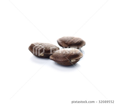 Image of sacha inchi peanut seed on white Image of sacha inchi peanut seed on white 32089552
