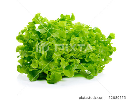 Fresh lettuce isolated on white background 32089553