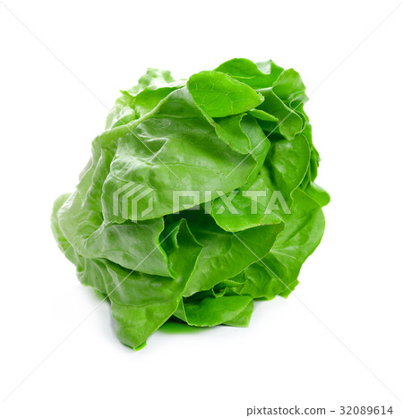 Lettuce Salad Isolated On White 32089614