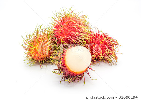 fresh rambutan fruits in a white background fresh rambutan fruits in a white background 32090194