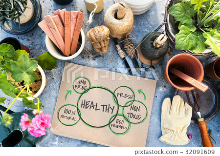 Nature Sustainable Healthy Graphic Diagram Word 32091609