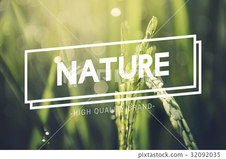 Alternative Farming Sustainable Nature Concept 32092035