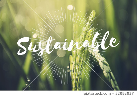 Alternative Farming Sustainable Nature Concept Alternative Farming Sustainable Nature Concept 32092037