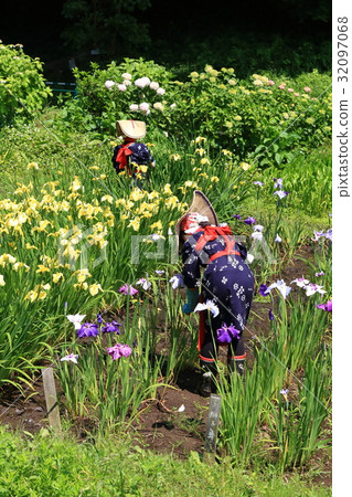 Flower pattern picking in Saotome 32097068