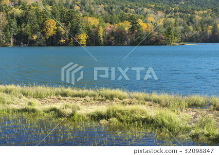 秋天Onnetoto 秋天Onnetoto 32098847