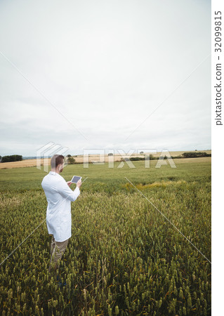 Agronomist using digital tablet in the field 32099815