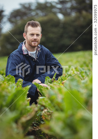 Farmer checking his crops in the field 32099975