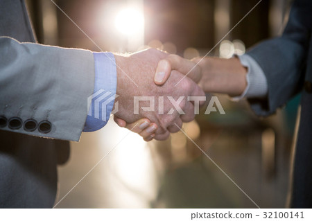 Businessman shaking hands with colleague Businessman shaking hands with colleague 32100141