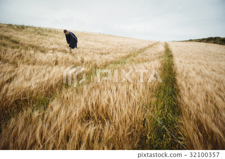 Farmer checking his crops in the field 32100357