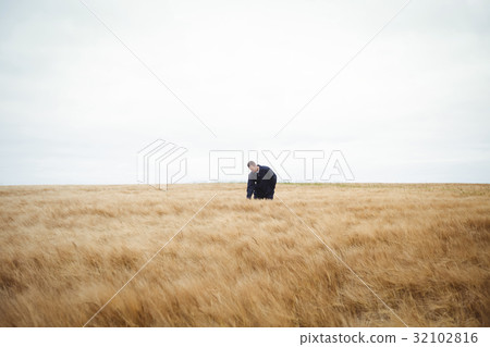 Farmer checking his crops in the field 32102816